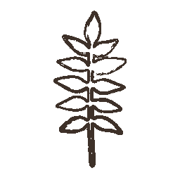 test icon finder 1 3 (1)